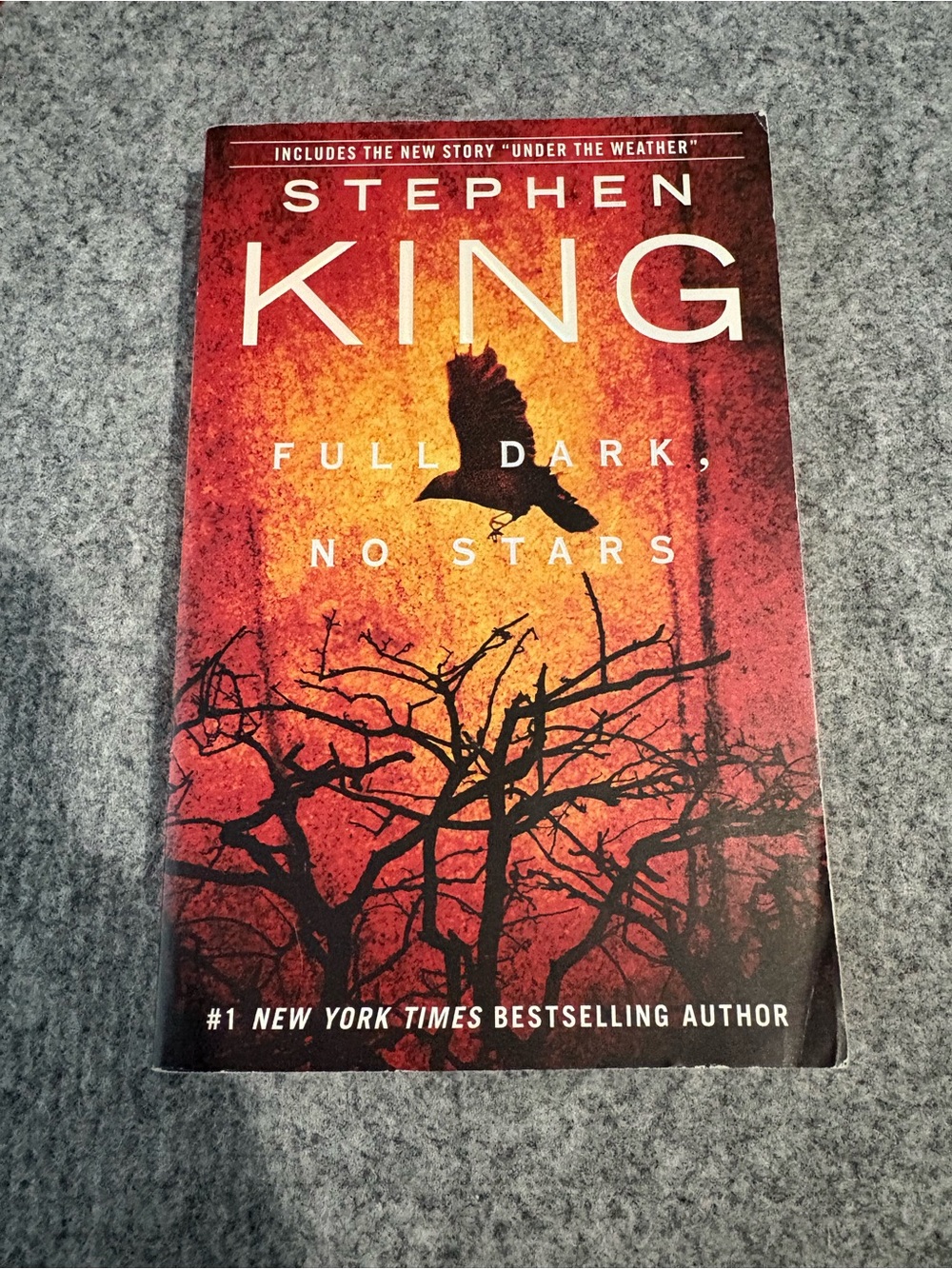 Gallery Stephen King Paperback in Red and Black